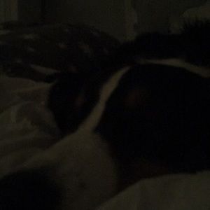 Meet your Posher, Heidi